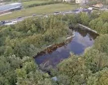 Beeld vanuit de hoogte van het terrein bij De Koemen, met water omgeven door bomen en struiken.